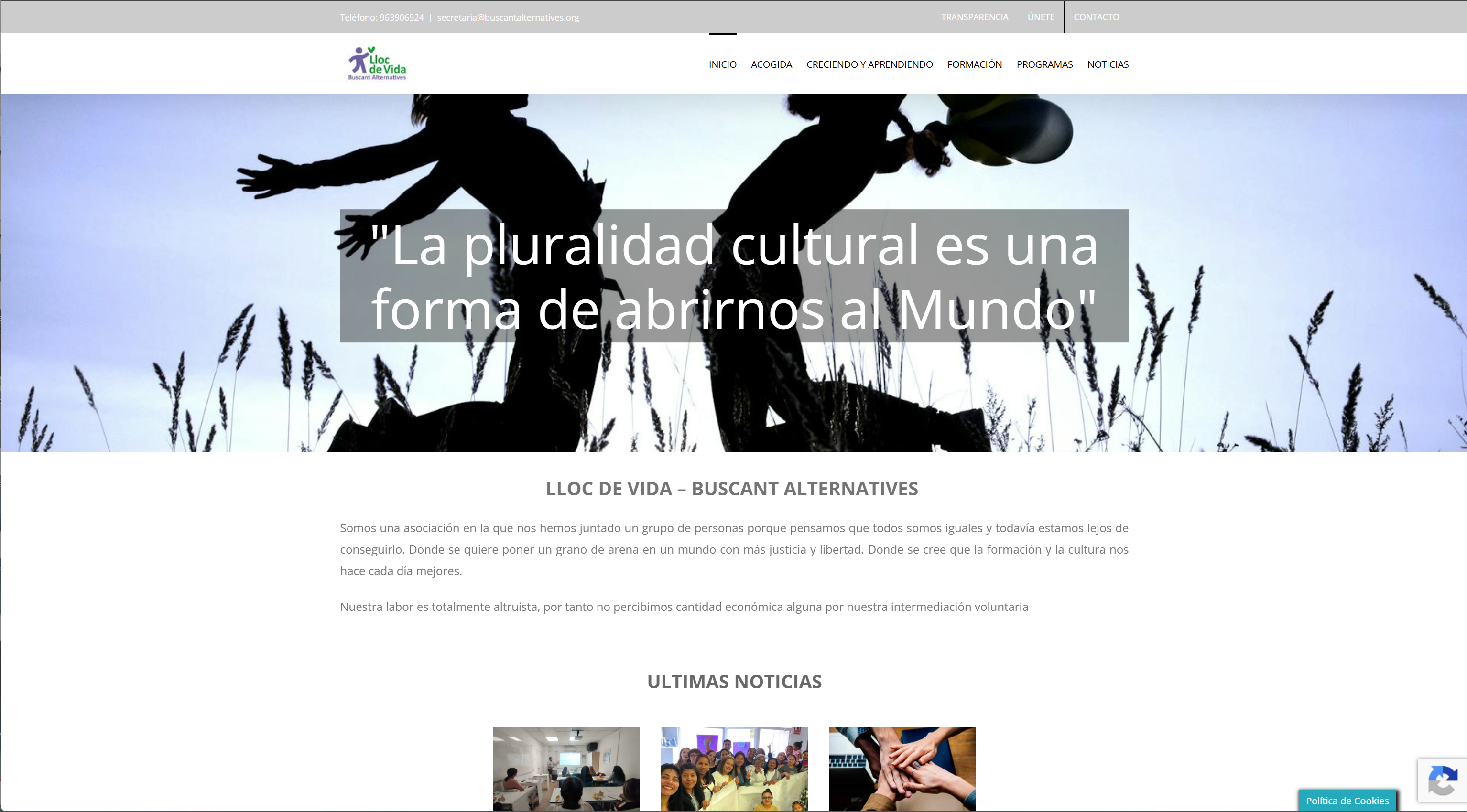 Sitio Web ONG - Buscat Alternatives